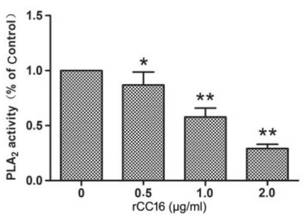 Acid–base titration analysis shows concentration-dependent inhibition of PLA2 activity by rCC16.jpg